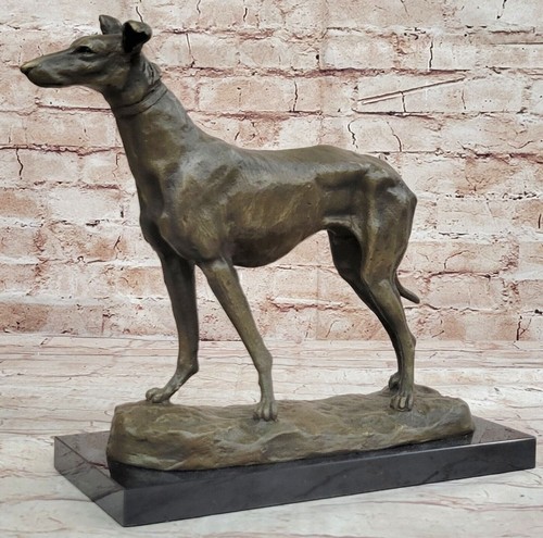 Grande levriero whippet - grande,