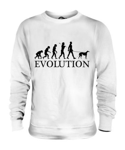Levriero evolution uomo - evolution,