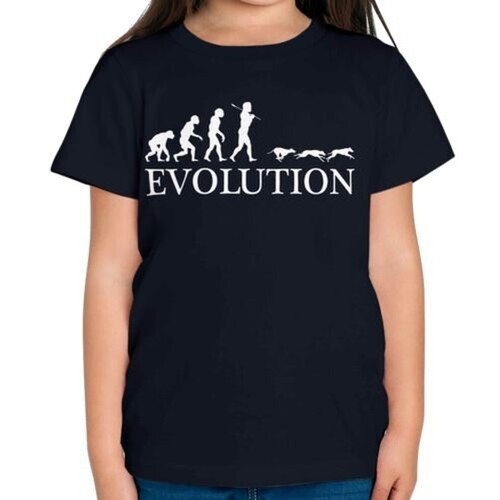 Levriero corsa evolution - da,