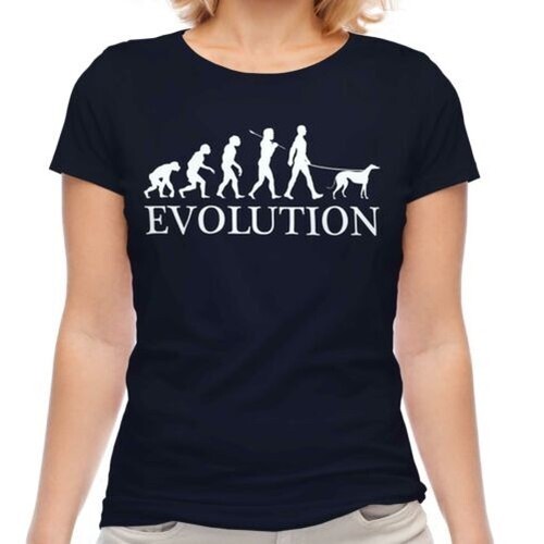Levriero evolution uomo - levriero, of