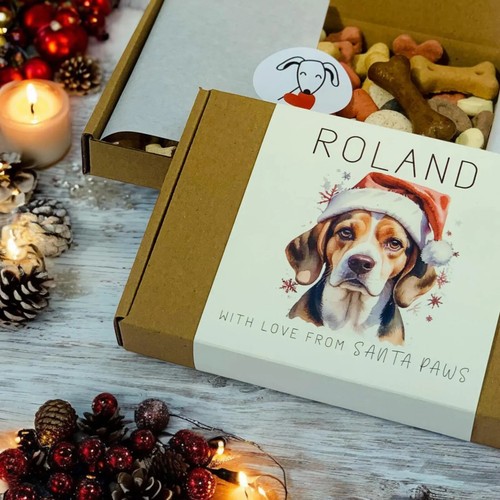 Regalo natale per cani - regalo,