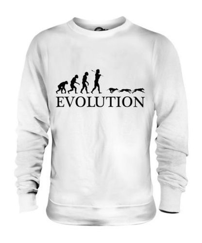 Levriero corsa evolution of - da,