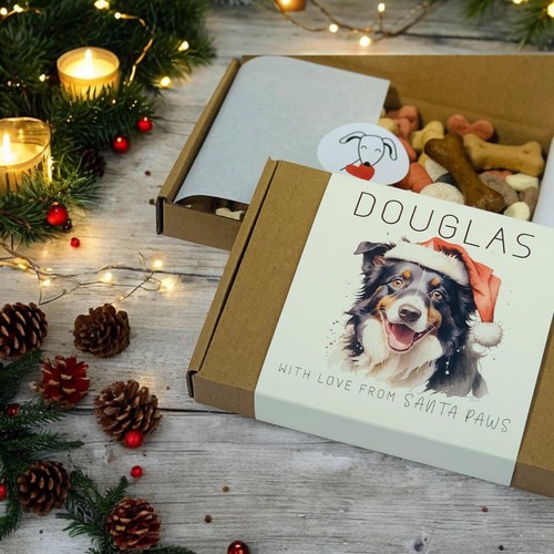 Border collie regalo natale - border, di