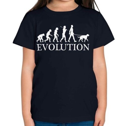 Scozzese levriero evolution - scozzese,
