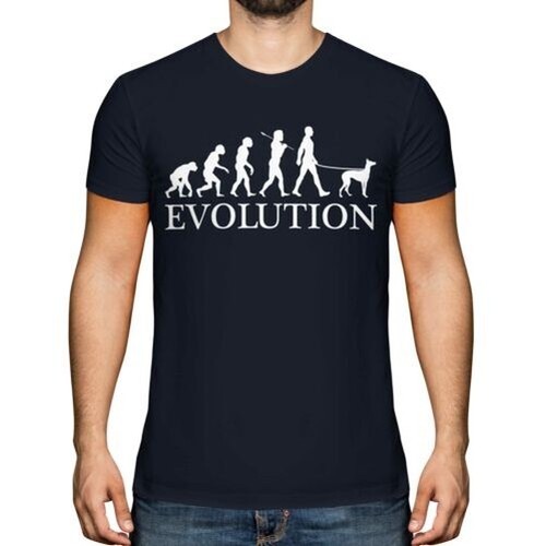 Italiano levriero evolution - italiano,