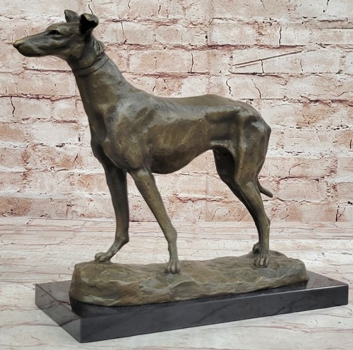 Grande levriero whippet - levriero,